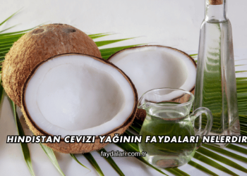 Hindistan Cevizi Yağının Faydaları Nelerdir?