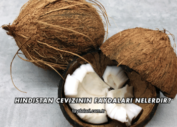 Hindistan Cevizinin Faydaları Nelerdir?