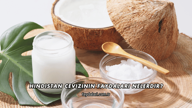 Hindistan Cevizinin Faydaları Nelerdir?