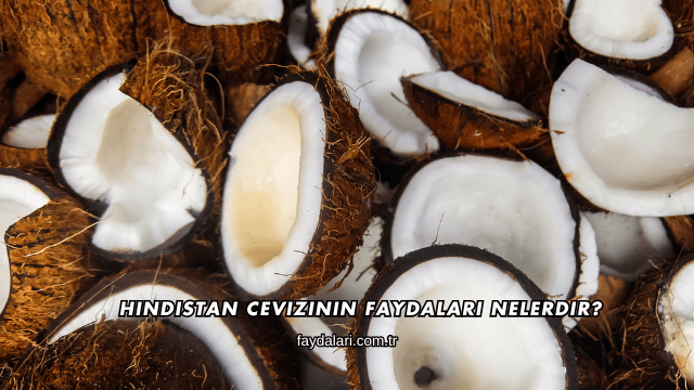 Hindistan Cevizinin Faydaları Nelerdir?