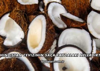 Hindistan Cevizinin Saça Faydaları Nelerdir?