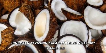 Hindistan Cevizinin Saça Faydaları Nelerdir?