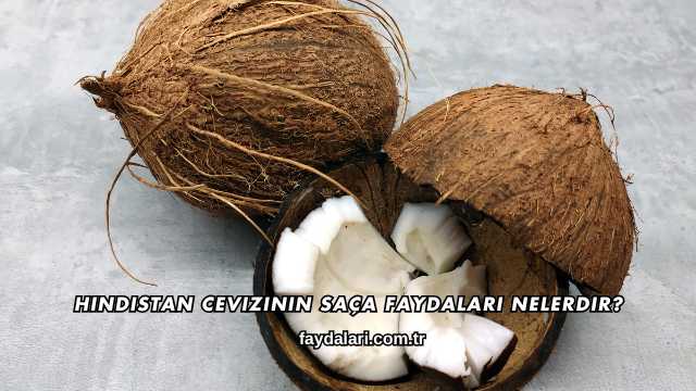 Hindistan Cevizinin Saça Faydaları Nelerdir?