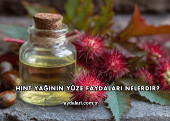 Hint Yağının Yüze Faydaları Nelerdir?