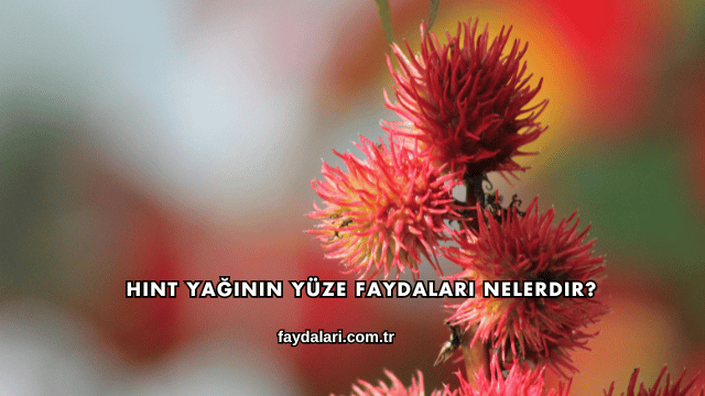 Hint Yağının Yüze Faydaları Nelerdir?