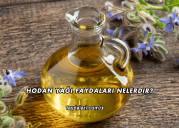 Hodan Yağı Faydaları Nelerdir?