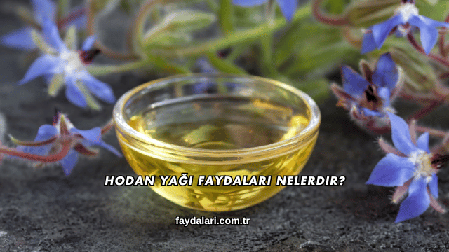 Hodan Yağı Faydaları Nelerdir?