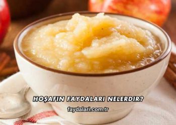 Hoşafın Faydaları Nelerdir?