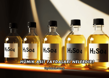 Hümik Asit Faydaları Nelerdir?