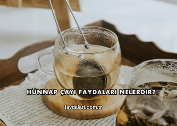 Hünnap Çayı Faydaları Nelerdir?