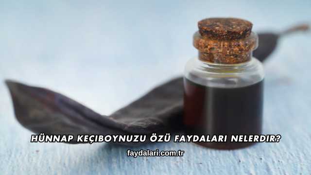 Hünnap Keçiboynuzu Özü Faydaları Nelerdir?