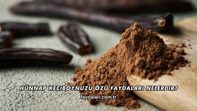 Hünnap Keçiboynuzu Özü Faydaları Nelerdir?