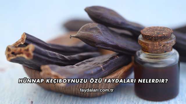 Hünnap Keçiboynuzu Özü Faydaları Nelerdir?
