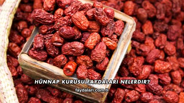 Hünnap Kurusu Faydaları Nelerdir?