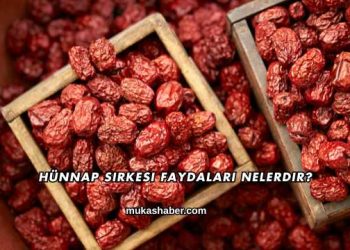 Hünnap Sirkesi Faydaları Nelerdir?