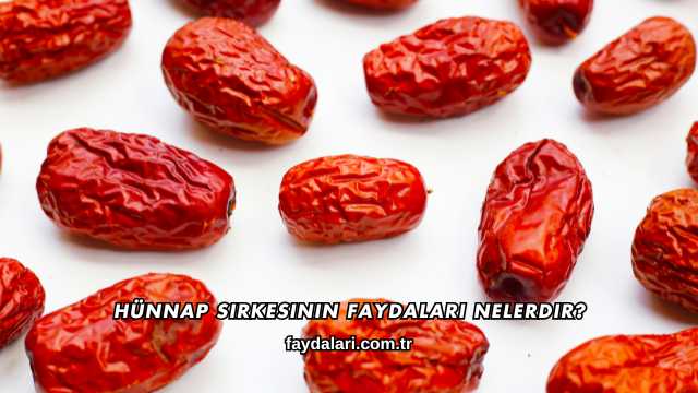 Hünnap Sirkesinin Faydaları Nelerdir?