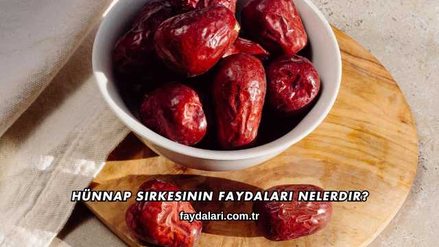 Hünnap Sirkesinin Faydaları Nelerdir?