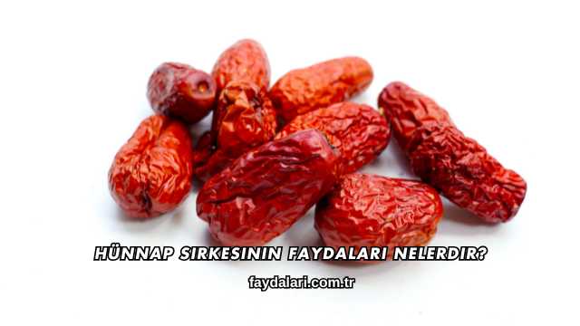 Hünnap Sirkesinin Faydaları Nelerdir?