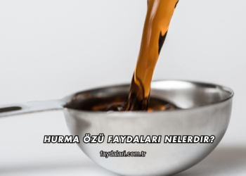 Hurma Özü Faydaları Nelerdir?