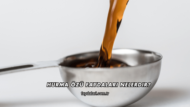 Hurma Özü Faydaları Nelerdir?