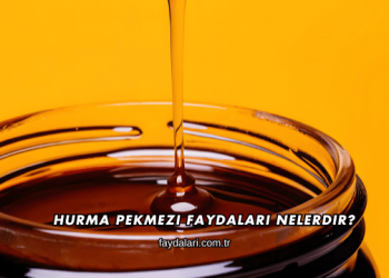 Hurma Pekmezi Faydaları Nelerdir?