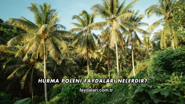 Hurma Poleni Faydaları Nelerdir?