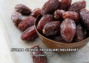 Hurma Sirkesi Faydaları Nelerdir?
