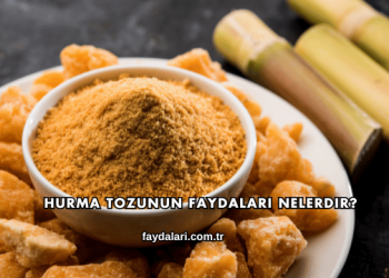 Hurma Tozunun Faydaları Nelerdir?