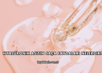 Hyaluronik Asitin Saça Faydaları Nelerdir?