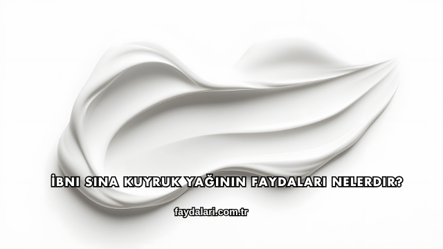 İbni Sina Kuyruk Yağının Faydaları Nelerdir?