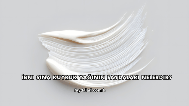 İbni Sina Kuyruk Yağının Faydaları Nelerdir?