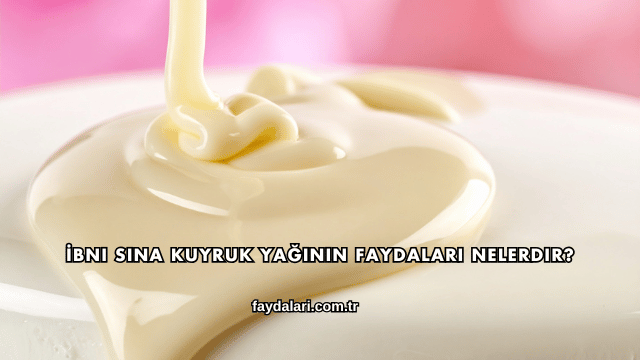 İbni Sina Kuyruk Yağının Faydaları Nelerdir?