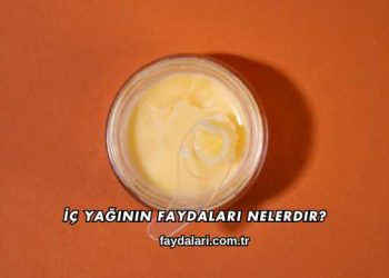 İç Yağının Faydaları Nelerdir?
