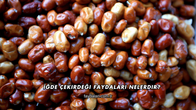 İğde Çekirdeği Faydaları Nelerdir?