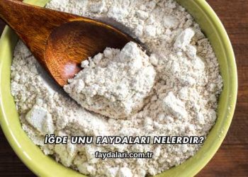 İğde Unu Faydaları Nelerdir?
