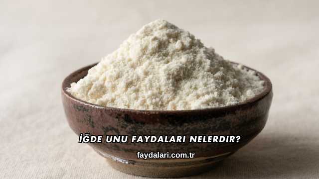 İğde Unu Faydaları Nelerdir?
