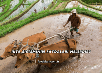 İkta Sisteminin Faydaları Nelerdir?