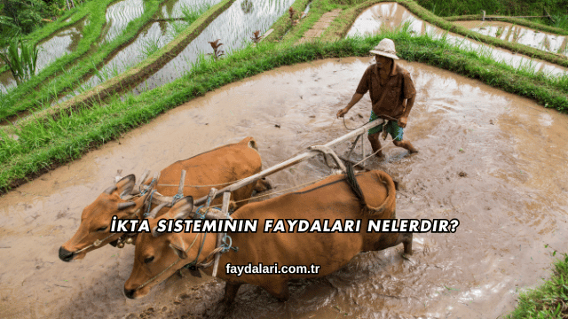 İkta Sisteminin Faydaları Nelerdir?