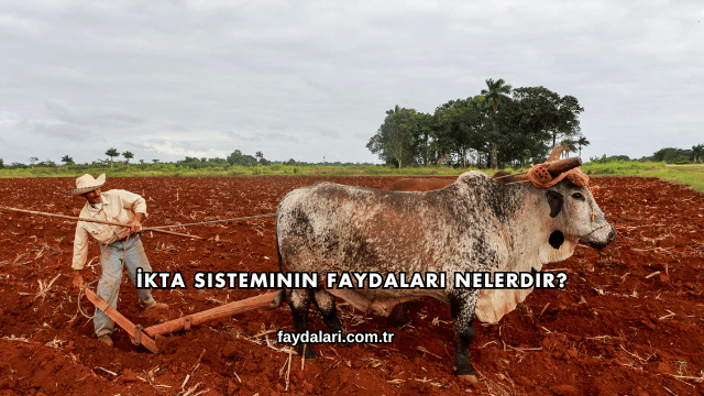 İkta Sisteminin Faydaları Nelerdir?