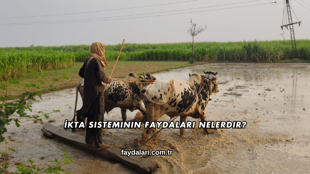 İkta Sisteminin Faydaları Nelerdir?