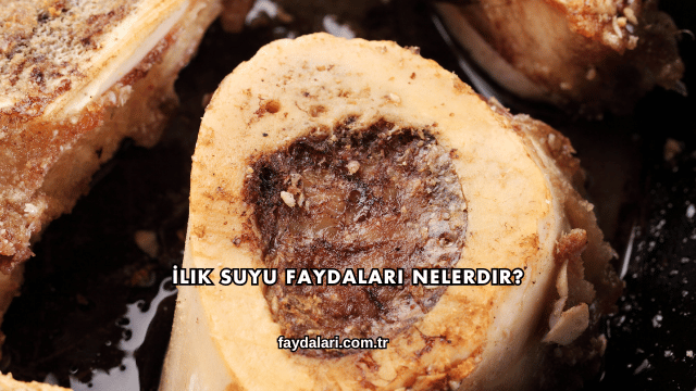 İlik Suyu Faydaları Nelerdir?