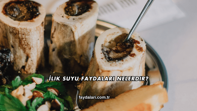 İlik Suyu Faydaları Nelerdir?