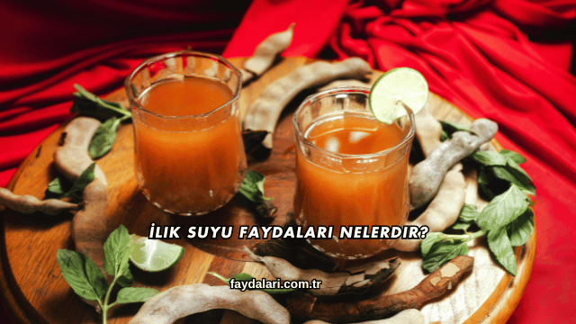 İlik Suyu Faydaları Nelerdir?