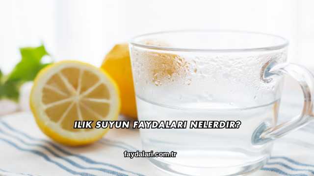 Ilık Suyun Faydaları Nelerdir?