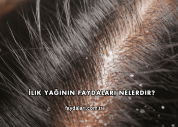 İlik Yağının Faydaları Nelerdir?