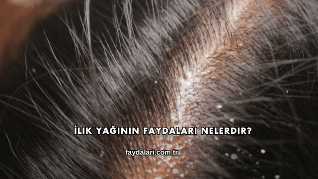 İlik Yağının Faydaları Nelerdir?