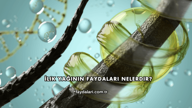İlik Yağının Faydaları Nelerdir?