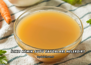 İlikli Kemik Suyu Faydaları Nelerdir?