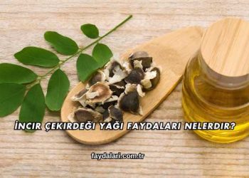 İncir Çekirdeği Yağı Faydaları Nelerdir?