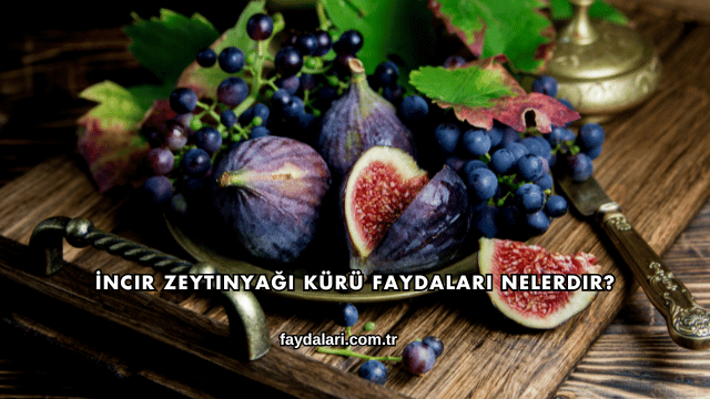 İncir Zeytinyağı Kürü Faydaları Nelerdir?